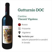 CP v 0201 Gutturnio Cantina Visconti Vigoleno Rosso Caratteristiche e abbinamenti