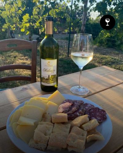 Degustazione di vini con tagliere, dolce e visita guidata – Cantina Civardi