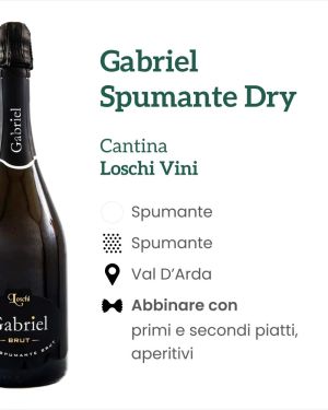 Spumante Dry Metodo Martinotti “Gabriel” – Loschi Vini