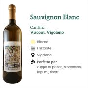 CP v 0208 Sauvignon Blanc Cantina Visconti Vigoleno Bianco Caratteristiche e abbinamenti