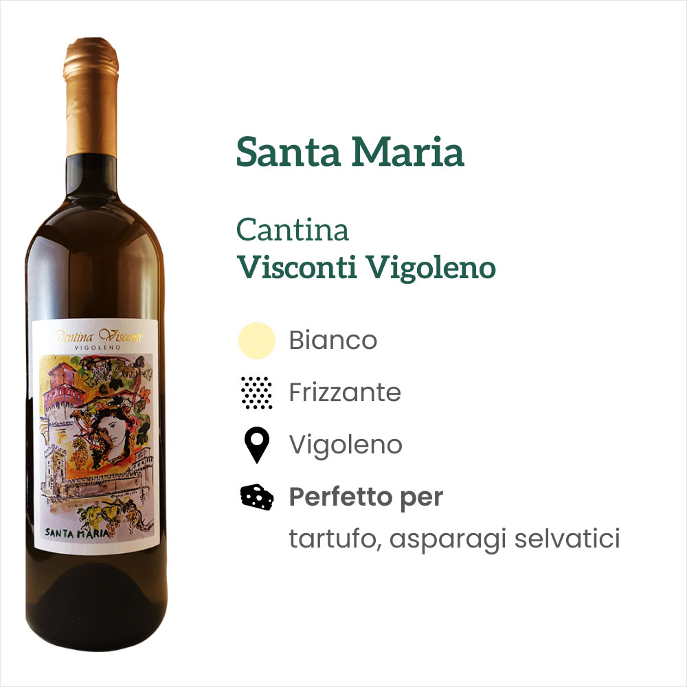 CP v 0210 Santa Maria Uve antiche autoctone e del Vin Santo di Vigoleno Visconti Vigoleno Bianco Caratteristiche e abbinamenti