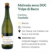 CP v 0128 Malvasia secca frizzante DOC Cantina Casabella Volpe di Bacco Bianco Caratteristiche e abbinamenti